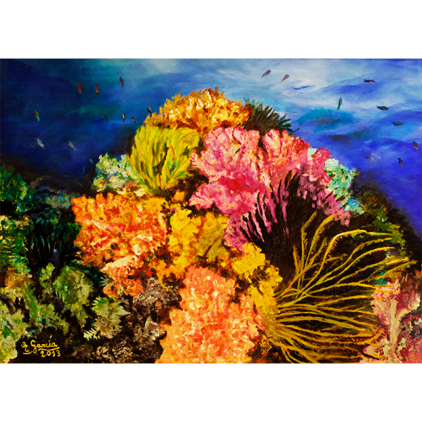 32-corales